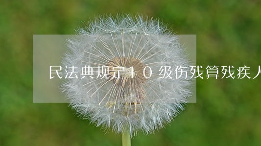 民法典规定10级伤残算残疾人吗 民法典规定10级伤残算残疾人吗