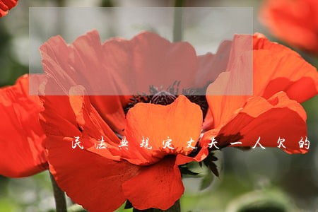 民法典规定丈夫一人欠的债务 民法典规定丈夫一人欠的债务