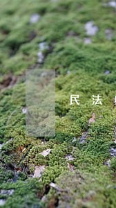 民法典规定丈夫死亡赔偿金怎么分 民法典规定丈夫死亡赔偿金怎么分