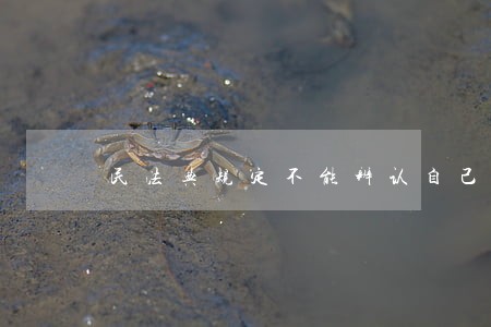 民法典规定不能辨认自己行为的 民法典规定不能辨认自己行为的
