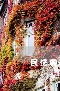 民法典规定两人以上依法承担
