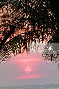 民法典规定什么是共同诉讼 民法典规定什么是共同诉讼