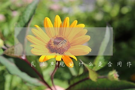 民法典规定什么是合同作废 民法典规定什么是合同作废