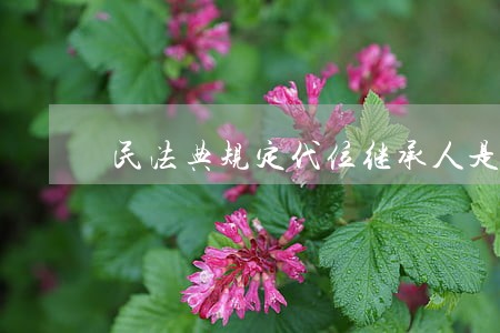 民法典规定代位继承人是什么意思 民法典规定代位继承人是什么意思