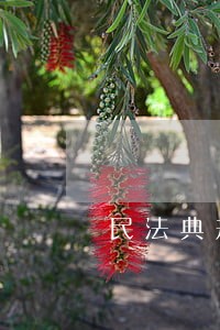 民法典规定借住证明有什么风险 民法典规定借住证明有什么风险