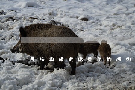 民法典规定借条上的违约金生效吗 民法典规定借条上的违约金生效吗