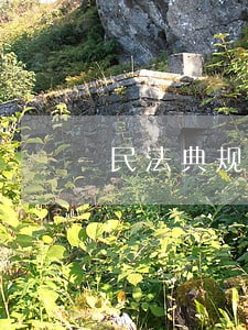 民法典规定债务人逃跑了怎么办 民法典规定债务人逃跑了怎么办