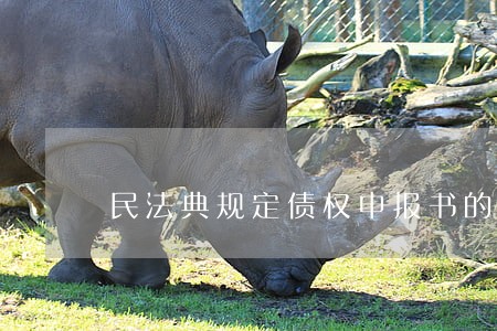 民法典规定债权申报书的注意事项 民法典规定债权申报书的注意事项