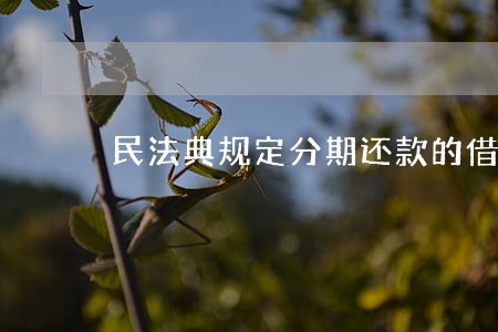 民法典规定分期还款的借条怎么写 民法典规定分期还款的借条怎么写