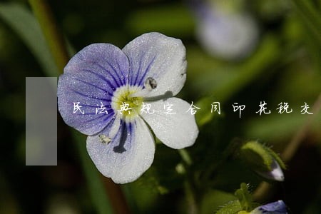 民法典规定合同印花税交多少 民法典规定合同印花税交多少