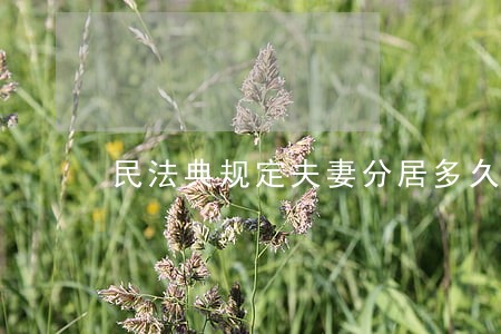 民法典规定夫妻分居多久可以离婚 民法典规定夫妻分居多久可以离婚