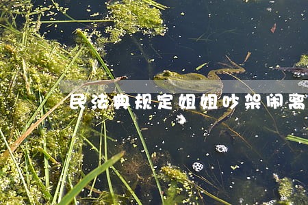 民法典规定姐姐吵架闹离婚