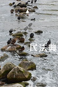 民法典规定婆婆先动手打儿媳妇 民法典规定婆婆先动手打儿媳妇