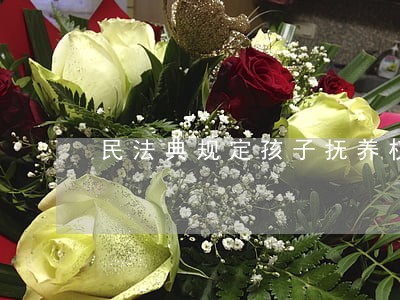 民法典规定孩子抚养权是什么意思 民法典规定孩子抚养权是什么意思