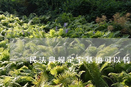 民法典规定宅基地可以转卖吗 民法典规定宅基地可以转卖吗