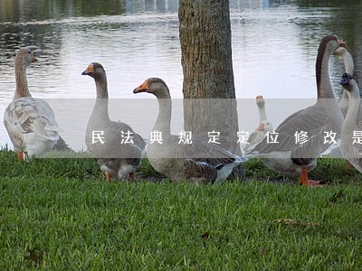 民法典规定定位修改是否能过网贷 民法典规定定位修改是否能过网贷