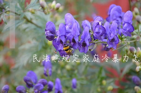 民法典规定家庭冷暴力怎么认定 民法典规定家庭冷暴力怎么认定