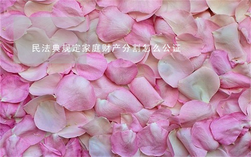 民法典规定家庭财产分割怎么公证 民法典规定家庭财产分割怎么公证