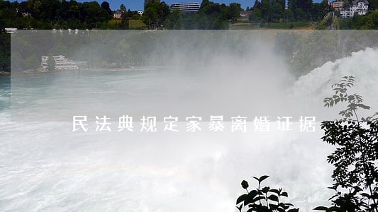 民法典规定家暴离婚证据