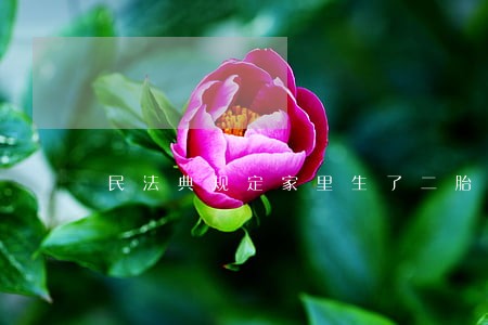 民法典规定家里生了二胎 民法典规定家里生了二胎