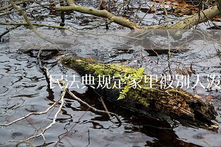 民法典规定家里被别人泼漆 民法典规定家里被别人泼漆