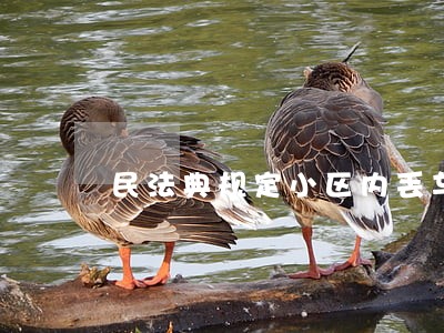 民法典规定小区内丢车 民法典规定小区内丢车