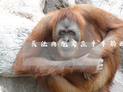 民法典规定左手手筋断了2根 民法典规定左手手筋断了2根