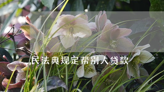 民法典规定帮别人贷款 民法典规定帮别人贷款