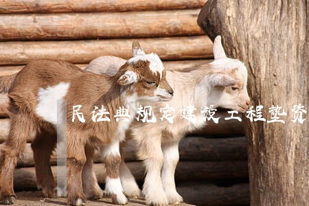 民法典规定建设工程垫资合同范本 民法典规定建设工程垫资合同范本