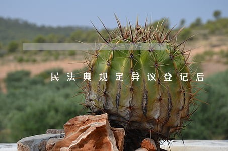 民法典规定异议登记后
