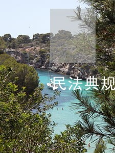 民法典规定怎么避税 民法典规定怎么避税