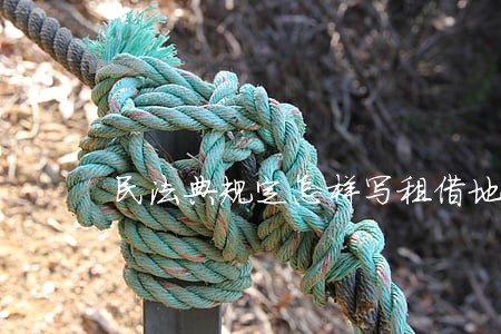 民法典规定怎样写租借地的协议书 民法典规定怎样写租借地的协议书