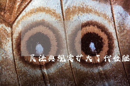 民法典规定扩大了代位继承的范围 民法典规定扩大了代位继承的范围