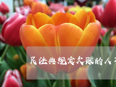 民法典规定欠账的人不还钱