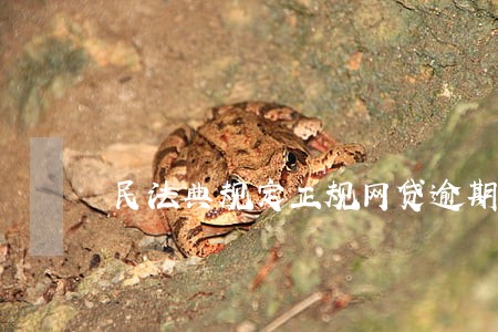 民法典规定正规网贷逾期后果 民法典规定正规网贷逾期后果