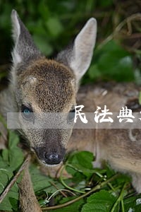 民法典规定民事诉讼中 民法典规定民事诉讼中