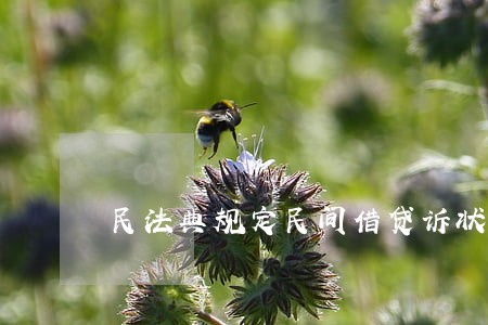 民法典规定民间借贷诉状a 民法典规定民间借贷诉状a