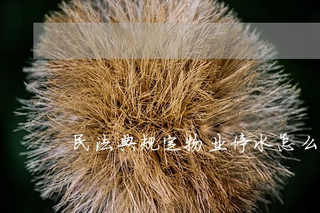民法典规定物业停水怎么办 民法典规定物业停水怎么办