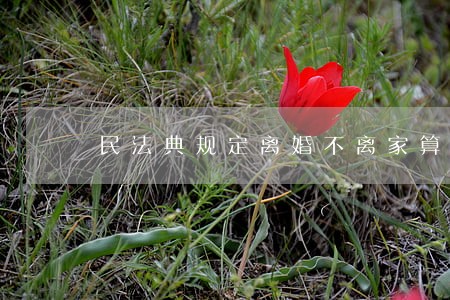 民法典规定离婚不离家算离婚吗 民法典规定离婚不离家算离婚吗