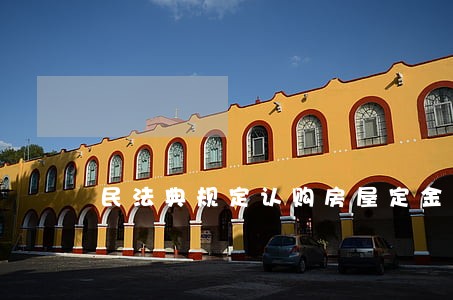 民法典规定认购房屋定金能退吗 民法典规定认购房屋定金能退吗