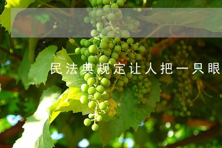 民法典规定让人把一只眼镜打瞎了