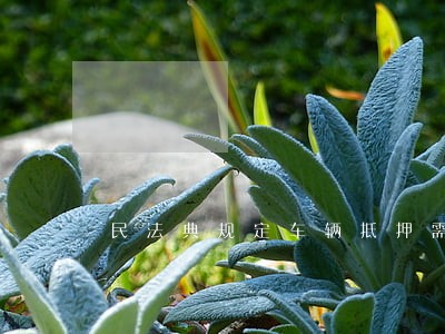 民法典规定车辆抵押需要什么手续 民法典规定车辆抵押需要什么手续