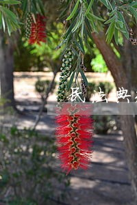 民法典规定近期办理了信用证 民法典规定近期办理了信用证