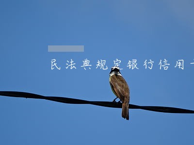 民法典规定银行信用卡能透支不 民法典规定银行信用卡能透支不
