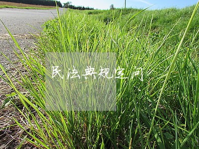 民法典规定问 民法典规定问