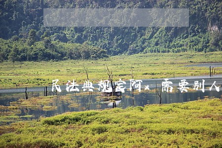 民法典规定阿x需要别人照顾 民法典规定阿x需要别人照顾