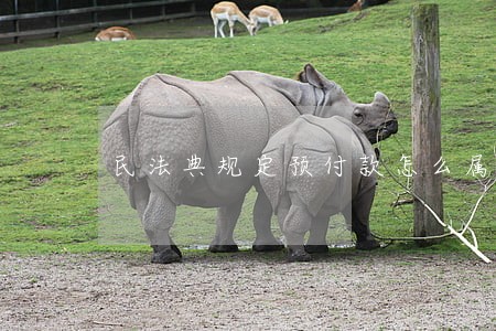 民法典规定预付款怎么属于债权 民法典规定预付款怎么属于债权