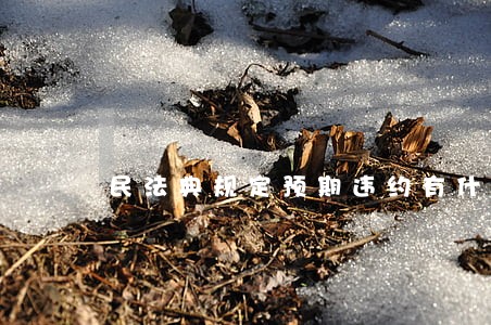 民法典规定预期违约有什么特点 民法典规定预期违约有什么特点