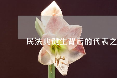 民法典诞生背后的代表之声 民法典诞生背后的代表之声