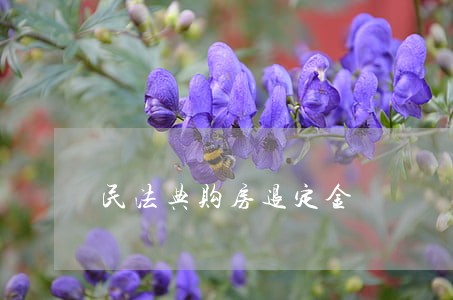 民法典购房退定金 民法典购房退定金
